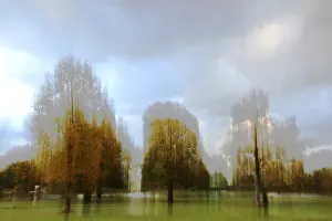 Deserted Daytime Landscape Drucke: Smear effect, trees in autumn, distorted