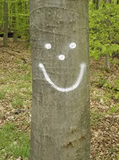 Wooded Countryside View Drucke: Smiley, tree, log, forest, beech