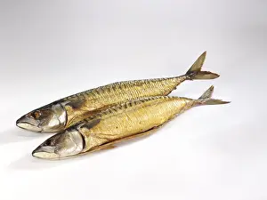 Indoor Food Still Life Drucke: Two smoked mackerel