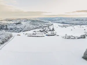 Snowy Black Forest Landscape Drucke: Snow-covered fields under morning light