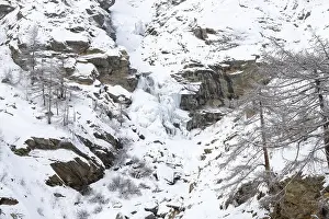 Natural Preserve Southern Europe Drucke: Snow-covered mountainous landscape with sparse trees in a cold environment