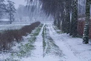 Winter Landscape Germany Drucke: Snow-covered path between trees and fields
