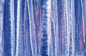 Close Up Tree Trunks Drucke: Snow covered trees