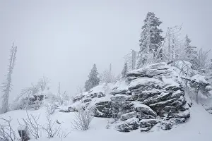 Snowy Winter Landscape Drucke: Snow-covered trees and rocks in winter