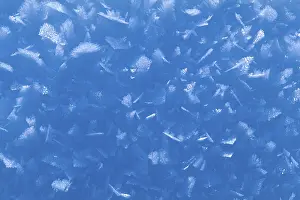 Ice Crystal Formation Drucke: Snow crystals