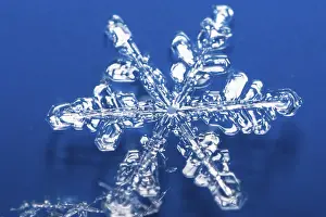 Winter Nature Scene Drucke: Snow crystals