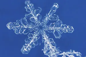 Open Air Winter Landscapes Drucke: Snow crystals