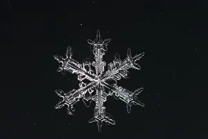 Wintry Landscape Photo Drucke: Snow crystals