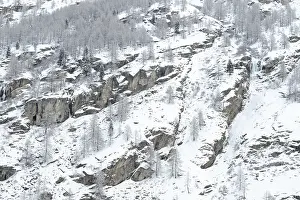 Wintry European Landscape Photo Drucke: Snow-draped cliffs with sparse trees on a mountainous winter landscape