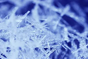 Close View Of Ice Crystals Drucke: Snow ice crystals