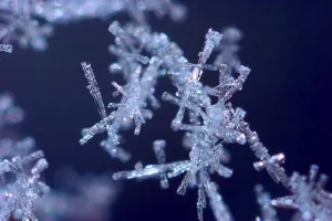 Ice Crystal Details Drucke: Snow ice crystals