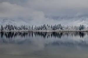 Snow Covered Trees Europe Drucke: Snow, lake, trees, reflection, clouds