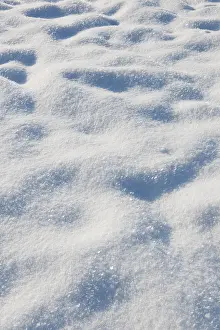 Deserted Snowy Landscape Drucke: Snow in a meadow
