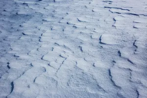 Swedish Winter Landscape Drucke: Snowdrift, Snow with wave structure