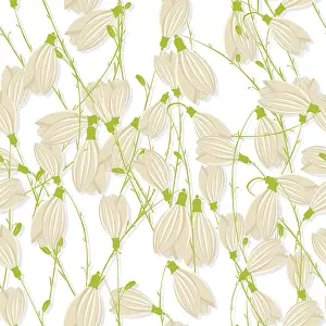 White Studio Background Image Drucke: Snowdrop seamless pattern over white background
