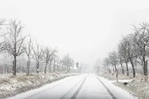 Snowy Country Lane Drucke: Snowfall