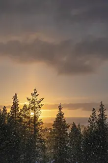 Scandinavian Travel Images Drucke: Snowfall against light, Gallivare