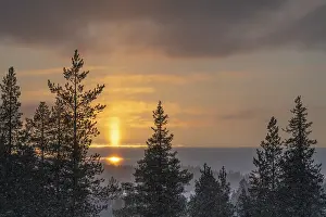 Norrbotten County Landscape Drucke: Snowfall against light, Gallivare