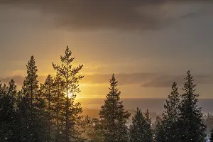 Norrbotten County Landscape Drucke: Snowfall against light, Gallivare