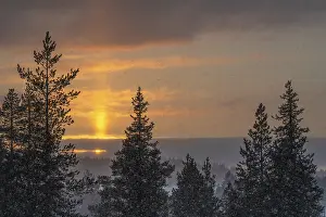 Northern Europe Snowfall Drucke: Snowfall against light, Gallivare