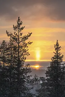 Norrbotten County Landscape Drucke: Snowfall against light, Gallivare