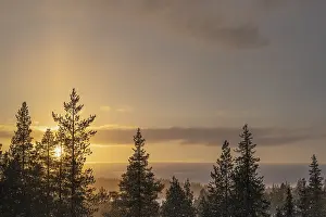Northern Europe Snowfall Drucke: Snowfall against light, Gallivare