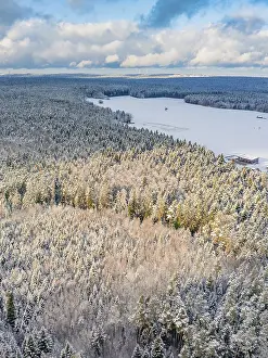Southern Germany Winter Scenery Drucke: Snowy forest with fields, blue sky with clouds