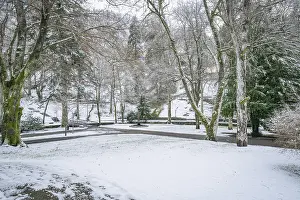 Southern Germany Winter Landscape Drucke: Snowy park with bare trees and walking paths on a wintry day