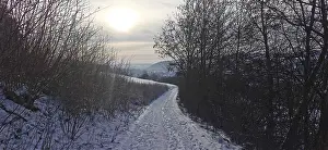 Evening Sun In Germany Drucke: Snowy path at sunset surrounded by bare trees and shrubs