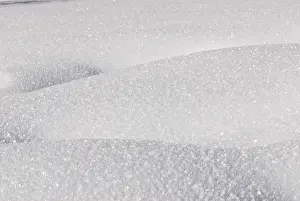 Frozen Winter Scene Drucke: Snowy surface