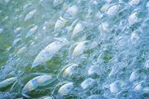 Personal Hygiene Tips Drucke: Soap lather