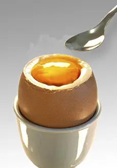 Empty Plate Food Photography Drucke: Soft-boiled egg with a spoon