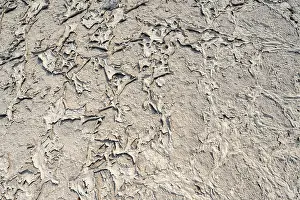 Nxai Pan National Park Drucke: Soil, structure of a dried up salt pan