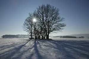 German Winter Scene Drucke: SONY DSC