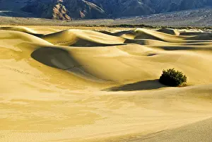 Death Valley National Park Drucke: SONY DSC