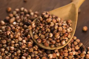 Basic Food Photography Drucke: Sorghum, rice