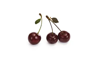 Studio Shot Fruits Drucke: Sour cherries
