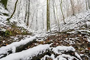 Northern German Winter Scenery Drucke: Source of the Hunte river in Melle