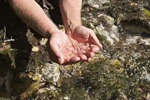 Mountain Stream Austria Drucke: Source of Isar in Tyrol - Austria
