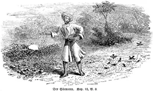 Agricultural Field Photography Drucke: The sower, chapter 13, verse 3