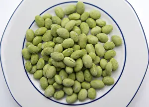 Balanced Diet Grocery Shopping Drucke: Soybeans