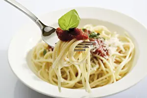 Spaghetti Bolognese Drucke: Spaghetti Bolognese on a fork