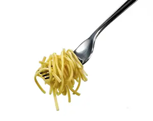 Pasta Dish Nutrition Drucke: Spaghetti on a fork