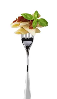 Food Photography Studio Setup Drucke: spaghetti on fork isolated on white background