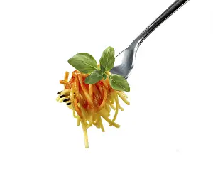 Tomato Sauce Pasta Drucke: Spaghetti on a fork with tomato sauce and basil