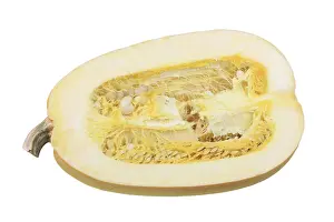 Nutrition Facts Pumpkin Drucke: Spaghetti squash, cut with pulp and seeds