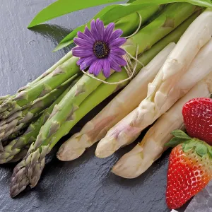 Asparagus Nutrition Drucke: Spargel