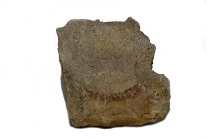 New Zealand Geology Drucke: A specimen of specimen of autonite