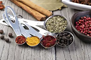 Spice Nutrition Facts Drucke: spices set isolated on a table