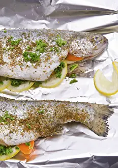 Grilled Seafood Meal Drucke: Spicy trout
